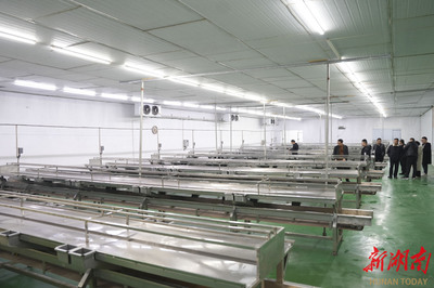 洞庭月歷｜二月·漁民 湖平浪靜，岸邊泊著美好的夢與豐饒的農副產品