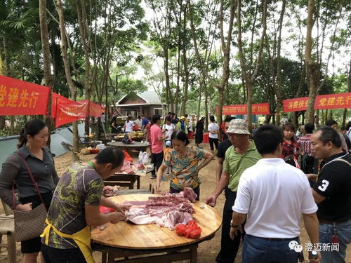 海南消費扶貧銷量榜發布 澄邁位列第三，農副產品貢獻突出