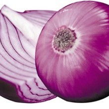 山東逸樂農副產品加工廠 脫水大蒜、大蒜、洋蔥及其他農副產品的專業(yè)加工與供應